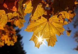 Vreme frumoasă pentru sfârşit de octombrie