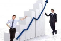 Leul se va aprecia până la 4,1 lei/euro în 2011