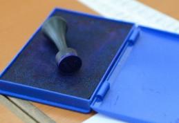 Vezi care va fi ordinea candidaţilor pe buletinele de vot la alegerile parlamentare din 9 decembrie