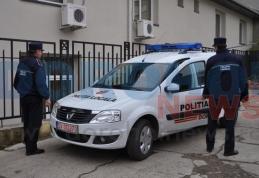 Poliția Locală Dorohoi: Bărbați prinși în timp ce tăiau ilegal un copac de pe marginea drumului