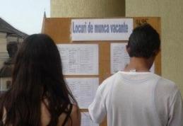 AJOFM: Locuri noi de muncă pentru pădurar, profesor și telefonist
