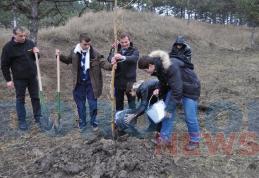 Acţiune de plantare desfăşurată astăzi în plantaţia de pini din zona Dealu Mare