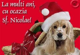 Dorohoi News vă urează La mulți ani de Sfântul Nicolae