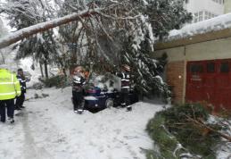 Trei intervenţii ISU, în mai puţin de o oră