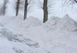 Vezi ce școli sunt închise din cauza vremii, în județul Botoșani