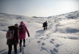 Vezi unităţile de învăţământ din judeţul Botoşani care rămân închise astăzi 18 decembrie