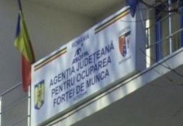 AJOFM: Locuri noi de muncă pentru biochimist, agent imobiliar și asistent relații publice