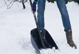 Scrisoare de la un cetățean „a munci nu este o rușine”