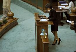 Doina Federovici a obţinut o funcţie de conducere în cadrul comisiilor permanente ale Senatului