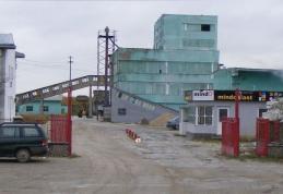 Mindo Dorohoi vrea o majorare de capital de 4,4 milioane lei în ianuarie 2013