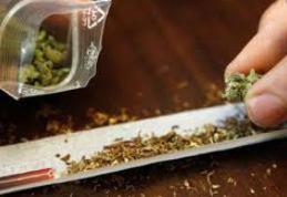 Decizie istorică luată de Olanda