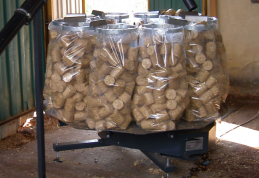 Proiecte pentru fabrici de peleţi şi brichete în Stăuceni şi Viişoara