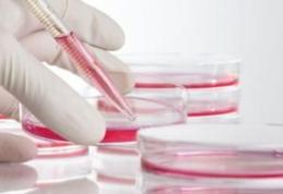 Cum se testează funcțiile hepatice