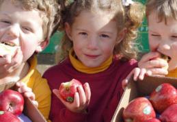 Birocrația lasă elevii botoșăneni fără mere în acest an