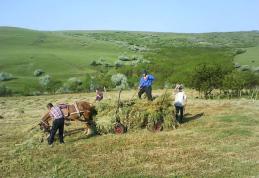 Ministerul Finanţelor inventează un nou impozit. Vezi pe cine va afecta