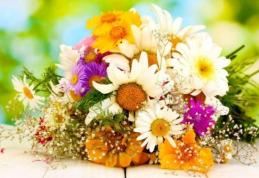 Horoscopul florilor: Ce plantă reprezintă zodia ta şi ce spune despre tine