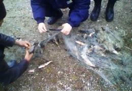 Dosar penal pentru trei bărbaţi prinşi la pescuit cu plasă monofilament