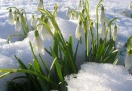 Cum va fi vremea în lunile februarie, martie și aprilie