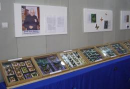 Expoziție de Fluturi exotici la Muzeul de Științele Naturii Dorohoi - FOTO