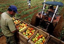 Card de acces pentru fermierii care vând în piață