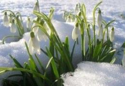 Prognoza meteo pe două săptămâni. Cum va fi vremea de Mărţişor