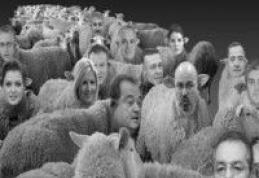 Lista Rusinii: Un dorohoian face praf parlamentarii puterii