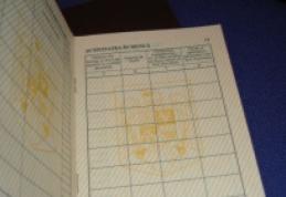 De unde poţi să-ţi recuperezi cartea de muncă. Ce s-a întâmplat cu aceasta după desfiinţare