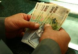 Vezi când vor primi producătorii agricoli banii pentru cererile depuse în 2012