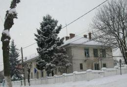 Poliția Darabani în alertă, după ce o femeie a născut şi a îngropat fătul în grădină