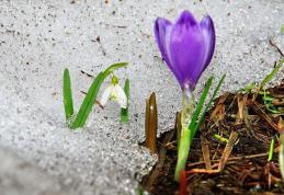 Cum va fi vremea de 1 martie. Prognoza meteo pentru fiecare regiune a ţării