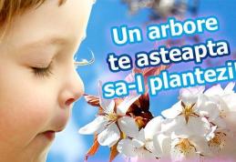 Primăria Dorohoi organizează o nouă campanie de plantare de pomi, sub sloganul „Te iubesc Dorohoi”