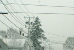 Vântul puternic a lăsat fără energie electrică 11 localităţi din județul Botoșani