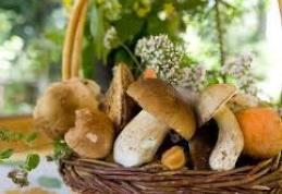 Ciupercile, alimentele minune care ţin cancerul la distanţă