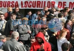 Bursa Generală a locurilor de muncă organizată în luna aprilie și la Botoșani