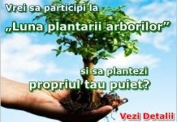 Ocolul Silvic Dorohoi - Ofertă puieți!