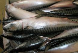 La ce trebuie să fii atent atunci când cumperi produse alimentare pe bază de peşte