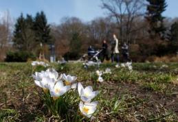 Vremea se încălzește spre finalul săptămânii, însă rămâne mai rece decât în mod normal