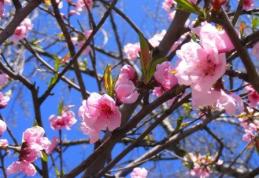 Află cum va fi vremea săptămâna viitoare