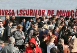 Bursa Generală a Locurilor de Muncă: Vezi ce locuri de muncă sunt disponibile!