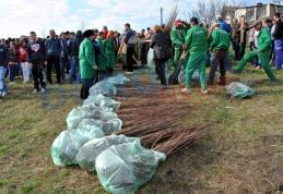 O amplă acțiune de plantare de arbori a avut loc astăzi pe Dealul Polonic din Dorohoi - FOTO