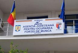 Locuri de muncă: Danemarca caută medici specialiști - diverse specialități. Vezi detalii!