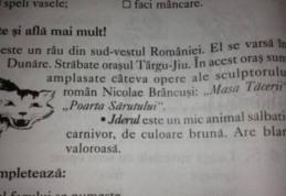 Gafă impardonabilă într-un manual şcolar