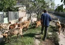 În câteva zile va începe recensământul agricol în Dorohoi