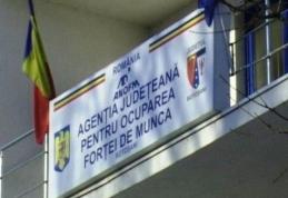 AJOFM Botoșani: În atenția absolvenților aflați în căutarea unui loc de muncă