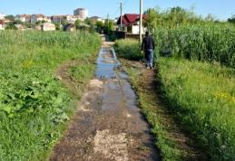 Primim la redacție: Dorohoi - Canalizare cu probleme (partea a III-a) - FOTO