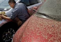 Fenomen neobișnuit! România măturată de „Ploaia roșie”. Vezi detalii!