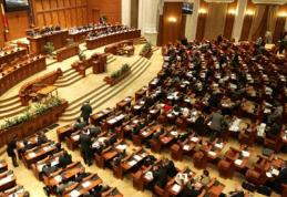 Andrei Dolineaschi: Interpelare în Parlament pentru urgentarea finalizării locuinţelor pentru sinistraţii din Dorohoi