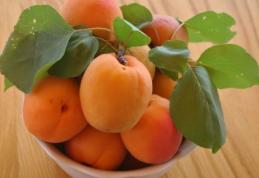 Caisele tratează inima, ochii şi pielea