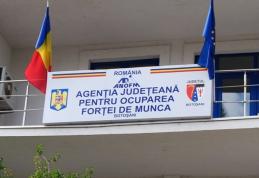 La sfârșitul lunii mai 434 de dorohoieni se aflau în căutarea unui loc de muncă conform evidențelor AJOFM Botoșani