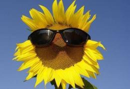 Temperaturi caniculare în aproape toată ţara. Vezi prognoza meteo pe următoarele zile